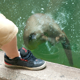 2010_GrandRapidsZoo_020