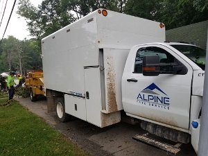 2023 - Alpine Tree Service Day 1