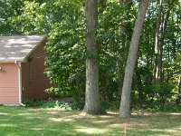2017 MichCottageBoundary-07