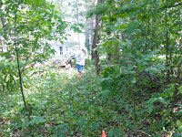 2017 MichCottageBoundary-09