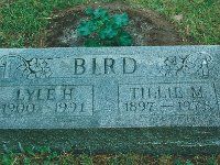 BirdLyleTille