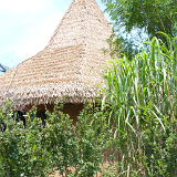 2010_GrandRapidsZoo_012