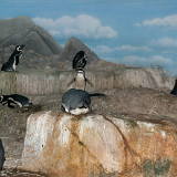 2010_GrandRapidsZoo_025