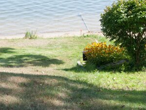 2017 - Cottage Survey