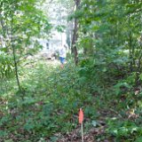 2017_MichCottageBoundary-09