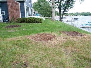 2018 Corey Tree Removal