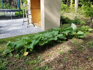 2023 - Bird Labor Day