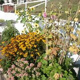 2023_BirdFrontFlowers1