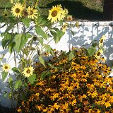 2023_BirdFrontFlowers2