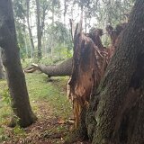 2023_BostwickLakeCemetary-3