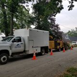 2023_AlpineTreeService_D1-04