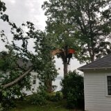 2023_AlpineTreeService_D1-06