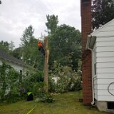 2023_AlpineTreeService_D1-09