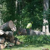 2023_AlpineTreeService_D2-15