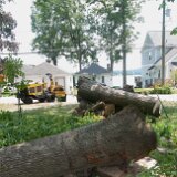 2023_AlpineTreeService_D2-18