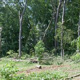 2023_AlpineTreeService_D2-20