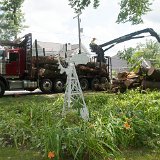 2023_AlpineTreeService_D3-02