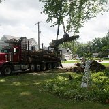 2023_AlpineTreeService_D3-03