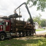 2023_AlpineTreeService_D3-04