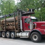 2023_AlpineTreeService_D3-08