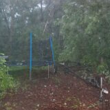 2023-BirdStormDamage--03-1