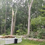 2023-BirdStormDamage--15