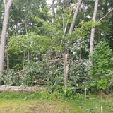 2023-BirdStormDamage--16