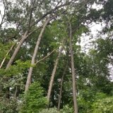 2023-BirdStormDamage--17