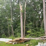 2023-BirdStormDamage--18