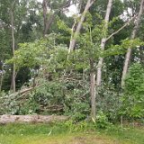 2023-BirdStormDamage--19