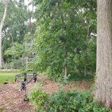 2023-BirdStormDamage--20