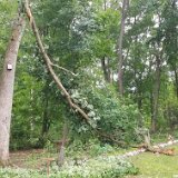 2023-BirdStormDamage--21