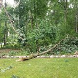 2023-BirdStormDamage--22