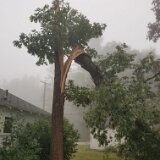 2023_AlpineTreeService_D1-23