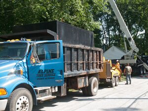 2023 - Alpine Tree Service Day 2