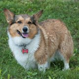 2023_BostwickBoatParade-02