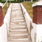 2023_Bird_StepMaintenance-02