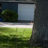 2024_BostwickSurvey06