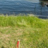 2024_BostwickSurvey10