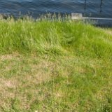 2024_BostwickSurvey13