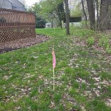 2026 - BirdBackLotSurvey-19