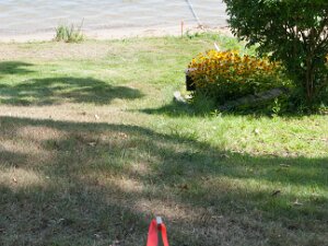 2017 - Cottage Survey