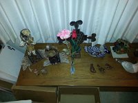 20160227 073339 : Birgit Cier, Cier Family, Pheonix, AZ