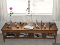 BirgitCierApartment 0003 : Birgit Cier, Cier Family, Pheonix, AZ