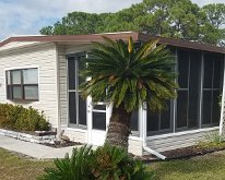 2018_Florida_Dec_SproutedPlants