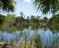 2018_Florida_OscarSchererPark_0010