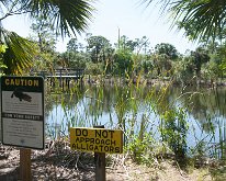 2018_Florida_OscarSchererPark_0011