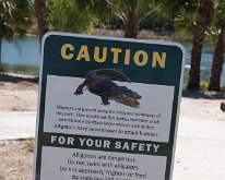 2018_Florida_OscarSchererPark_0014