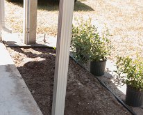 2018_Florida_Plants-2