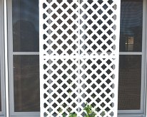 2018_Florida_Plants-5